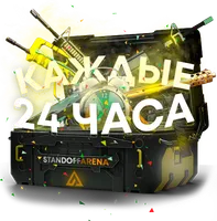 Каждые 24 часа