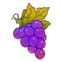 Sticker Grapes