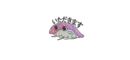 Sticker Sushi Color