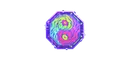 Sticker Zen Chip Color