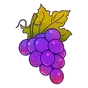 Sticker Grapes