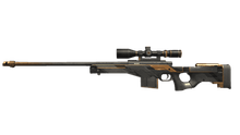 AWM Gear