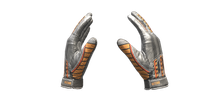 Gloves Autumn