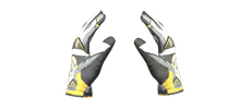 Gloves Champion