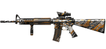 M16 4 Years
