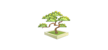 Sticker Bonsai