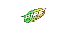 Sticker Fire Color