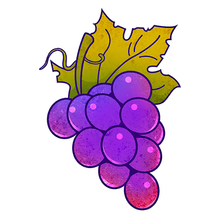 Sticker Grapes